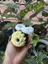 Load image into Gallery viewer, Baby Wanda Bee Plushie
