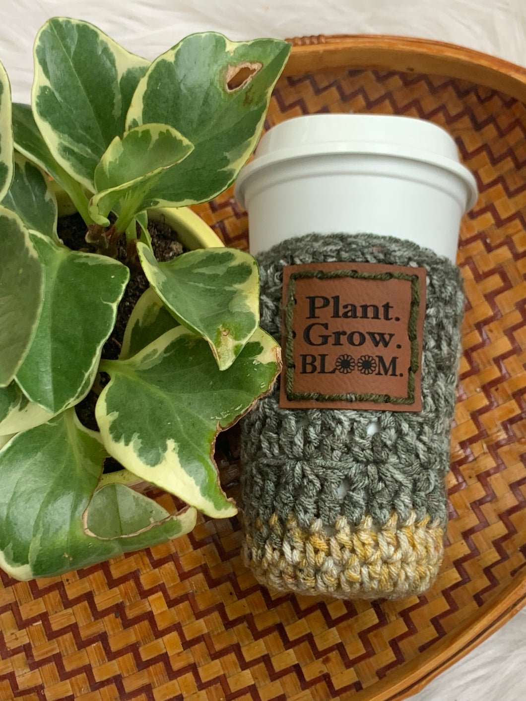 Plant Grow Bloom Cozy